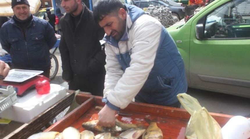 Ağrı&rsquo;da Vatandaşla Balığa Yoğun İlgi G&ouml;steriyor