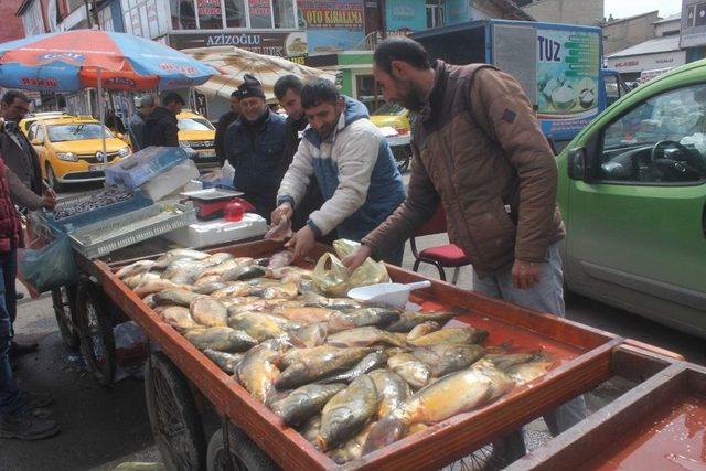 Ağrı&rsquo;da Vatandaşla Balığa Yoğun İlgi G&ouml;steriyor 1