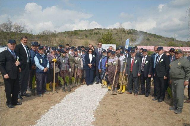 Kofçaz’da 1100 Fidan Toprakla Buluştu