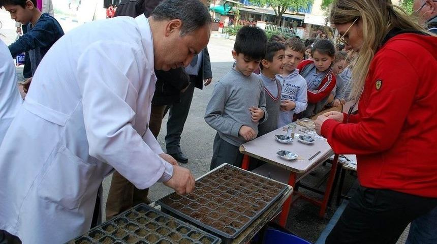 Yerel Tohumlar Minik Ellerde Fide Olacak