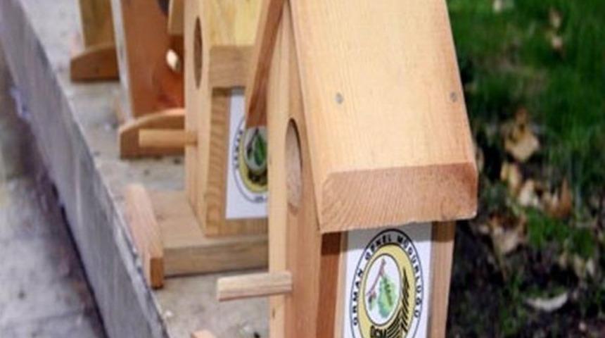 Bin Adet Kuş Yuvası Samsun Ormanlarına Bırakılacak