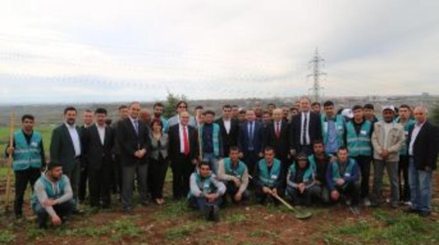 Dtso, D&uuml; Ve Savcılık Ortaklığında Ağa&ccedil; Dikimi