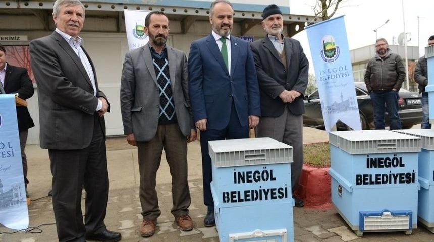 Ayıların Yağmaladığı Kovanları Belediye Yeniledi