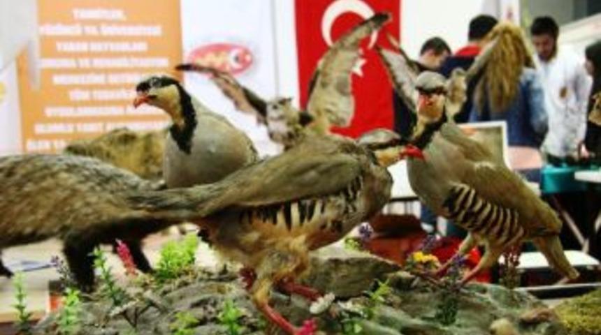 7. Doğu Anadolu Tarım, Hayvancılık Ve Gıda Fuarı A&ccedil;ıldı