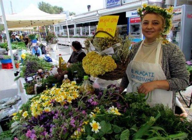 Alaçatı Ot Festivali Başladı