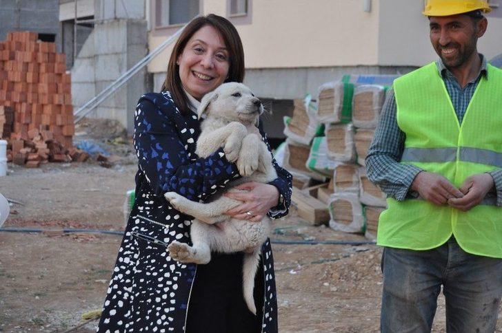 Kadın Milletvekili Günay’ın Köpek Sevgisi G1