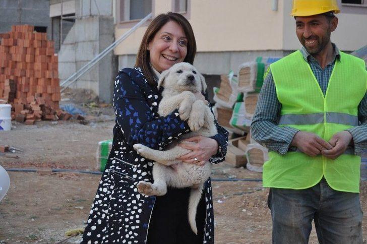 Kadın Milletvekili Günay’ın Köpek Sevgisi G2