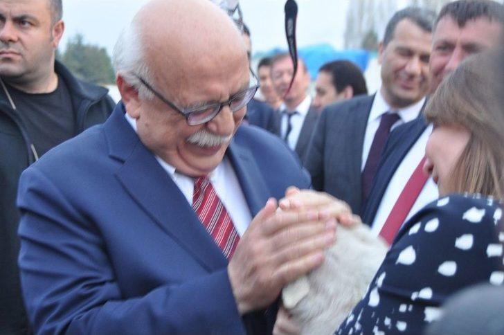 Kadın Milletvekili Günay’ın Köpek Sevgisi G3