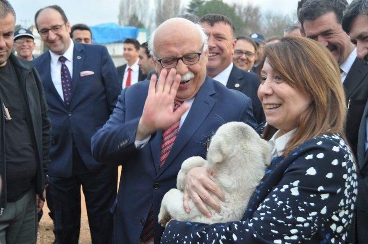 Kadın Milletvekili Günay’ın Köpek Sevgisi G4