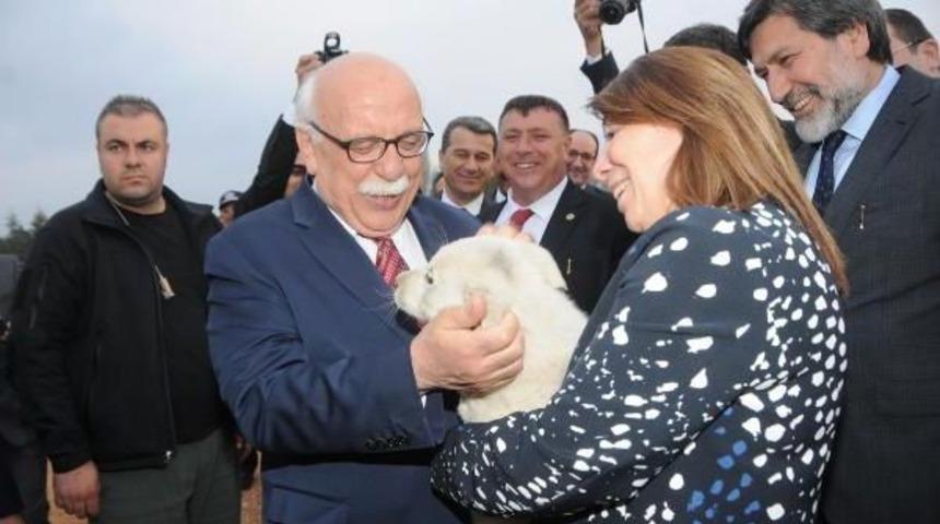 Bakan Avcı: Mavi Bayrak &Ccedil;ok Daha Artacak (3)