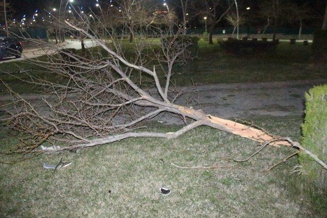 Takla Atan Otomobilden Çıkıp Kaçtılar