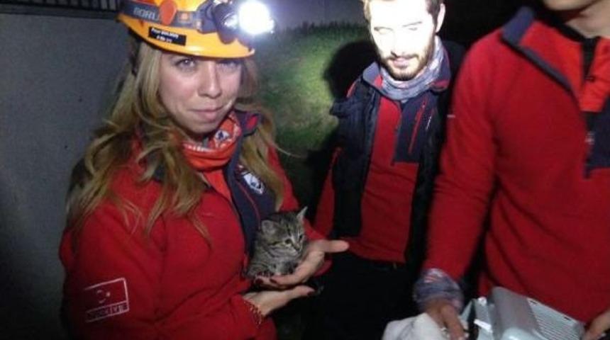 Su Tesisatına Sıkışan 4 Kedi, Nak Tarafından Kurtarıldı