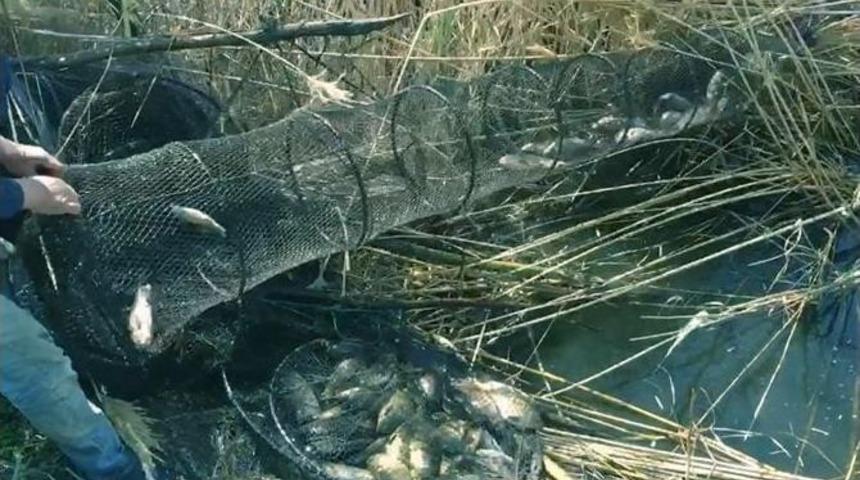 Aydın&rsquo;da Su &Uuml;r&uuml;nleri Denetimleri Devam Ediyor