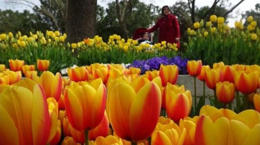 &Ccedil;i&ccedil;ek A&ccedil;an Park Ve Tesisler 'mutluluk Fotoğraflarının' Adresi Oldu