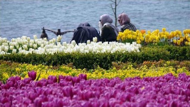 Çiçek Açan Park Ve Tesisler 'mutluluk Fotoğraflarının' Adresi Oldu