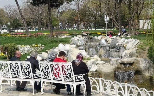 Çiçek Açan Park Ve Tesisler 'mutluluk Fotoğraflarının' Adresi Oldu