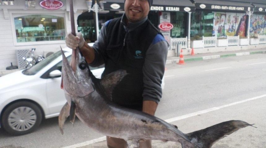 Balık&ccedil;ıların Ağlarına Dev Kılı&ccedil; Balığı Takıldı