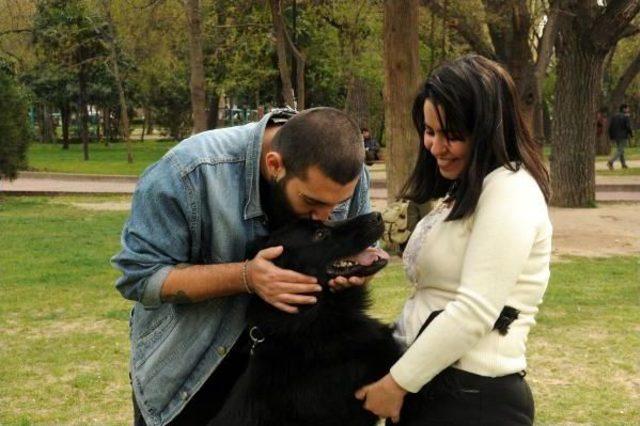 Üniversiteli Çift 'karre' Adlı Köpeğin Göz Ameliyatı Için Kampanya Başlattı