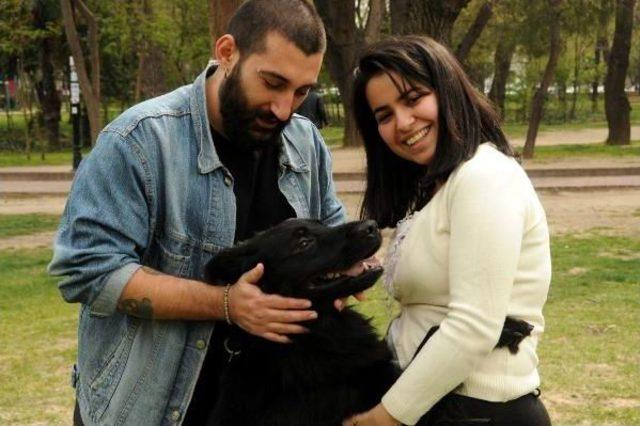 Üniversiteli Çift 'karre' Adlı Köpeğin Göz Ameliyatı Için Kampanya Başlattı