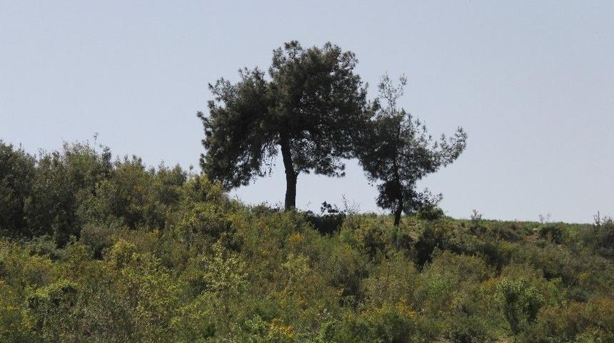 2 Yıl Sonra Başsız Cesedini G&ouml;rd&uuml;ler