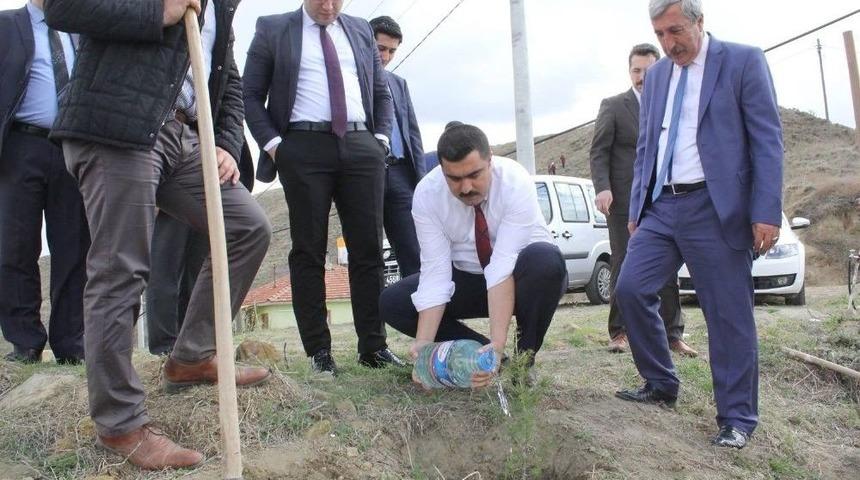 15 Temmuz Şehitleri Hatıra Ormanına Gidan Dikildi
