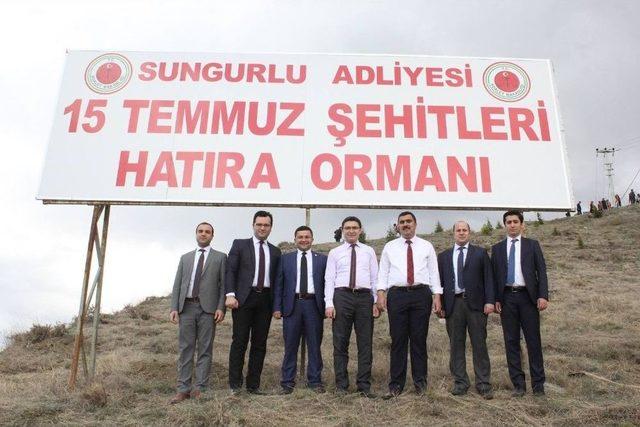 15 Temmuz Şehitleri Hatıra Ormanına Gidan Dikildi