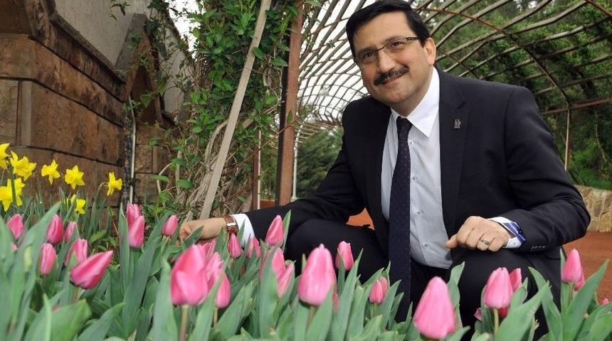 Ke&ccedil;i&ouml;ren Baharın Gelmesiyle &Ccedil;i&ccedil;eklendi