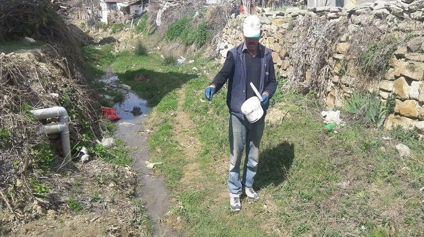 Sinekle M&uuml;cadele Başladı