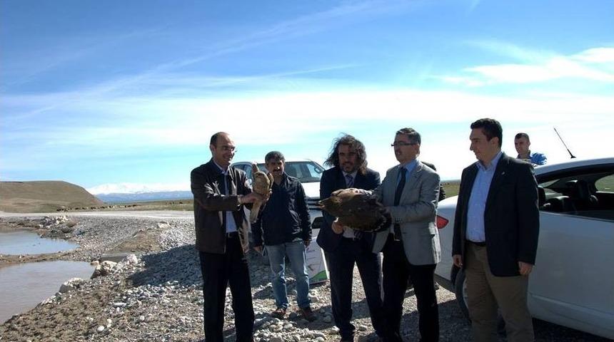 Yeniden &Ouml;zg&uuml;rl&uuml;klerine Kavuştular