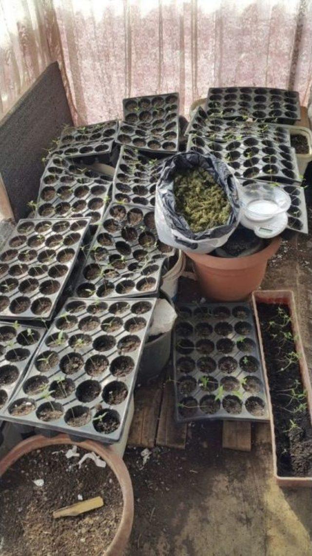 İzmir&rsquo;de 6 Adrese Eş Zamanlı Uyuşturucu Operasyonu: 17 G&ouml;zaltı 1