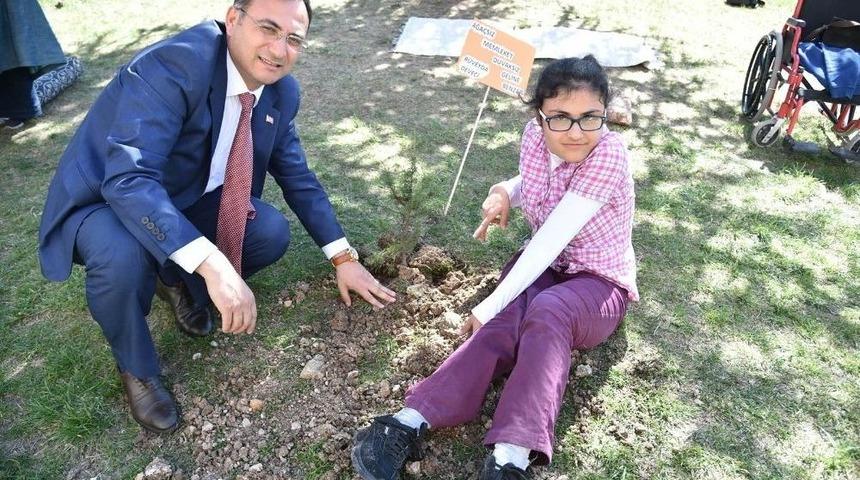 Altındağ&rsquo;da Engelliler Ağa&ccedil; Dikti