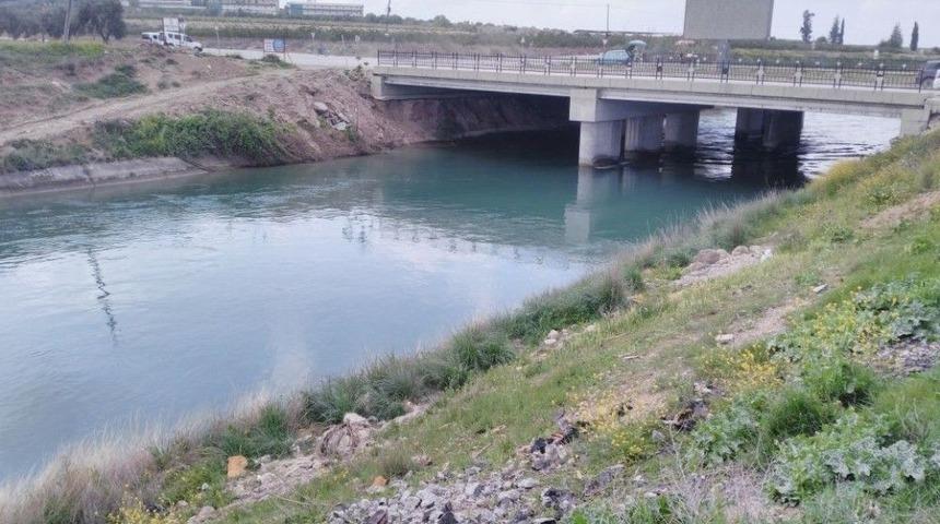 Bir İnek Sulama Kanalına D&uuml;şt&uuml;, 13&rsquo;&uuml; Peşinden Atladı