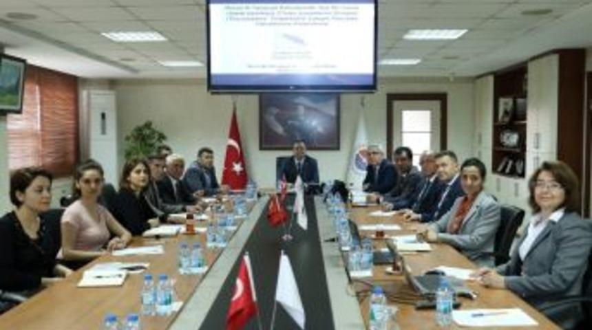 T&uuml;rkiye&rsquo;de İlk Kez Mersin&rsquo;de Limonda Tespit Edilen Thrips Zararlısıyla M&uuml;cadele Başlıyor