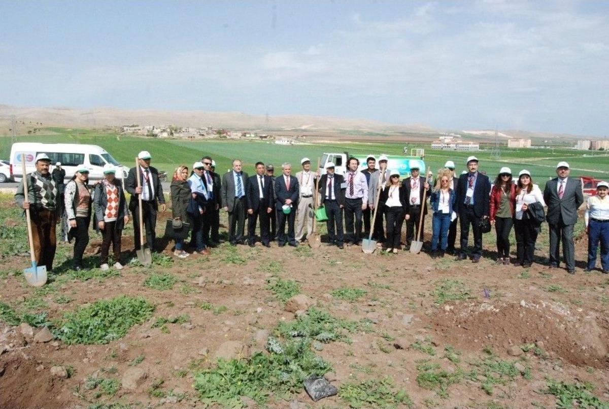 Şanlıurfa&rsquo;daki A&ccedil;ık&ouml;ğretim &Ouml;ğrencilerine Başarı Belgeleri Takdim Edildi