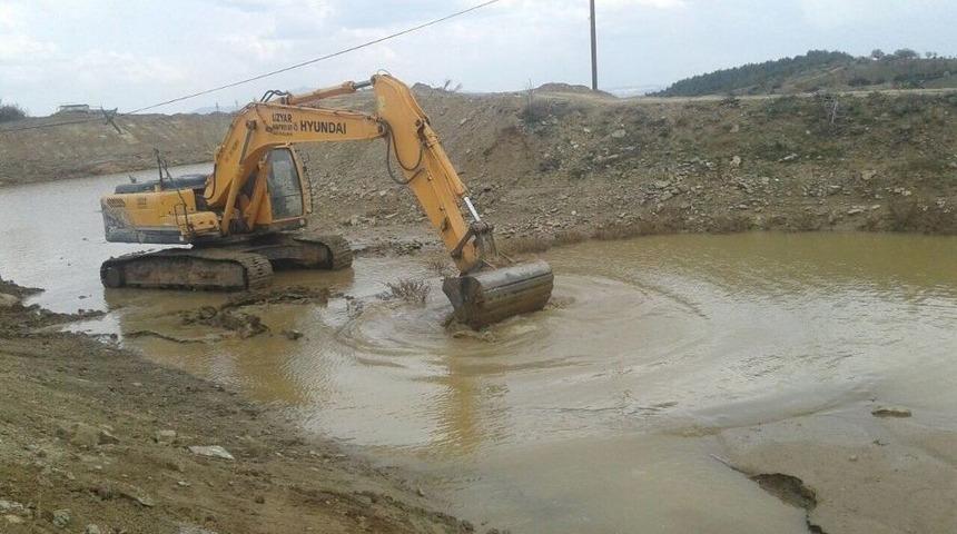 Hayvanlar Daha Temiz Su İ&ccedil;ecek