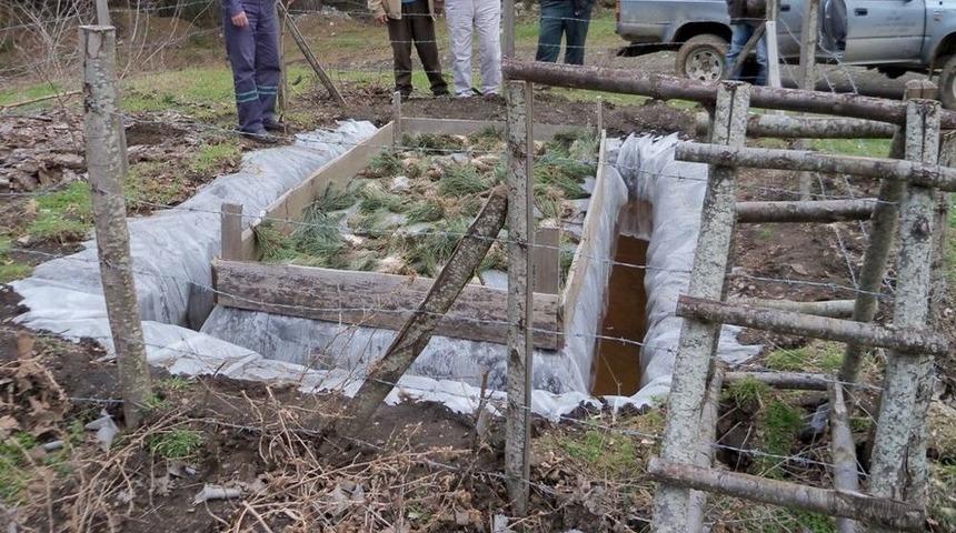 &Ccedil;anakkale&rsquo;de &Ccedil;am Kese B&ouml;ceği M&uuml;cadelesi S&uuml;r&uuml;yor