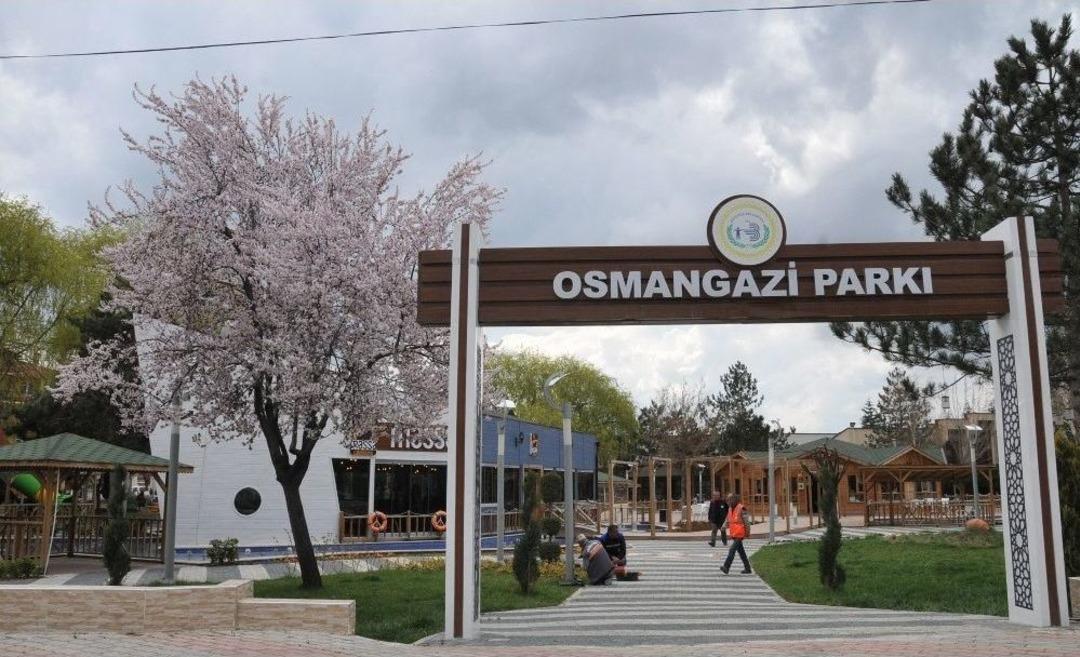 Boz&uuml;y&uuml;k&rsquo;te Baharın M&uuml;jdecisi Ağa&ccedil;lar &Ccedil;i&ccedil;ek A&ccedil;tı, Parklar Renklendi