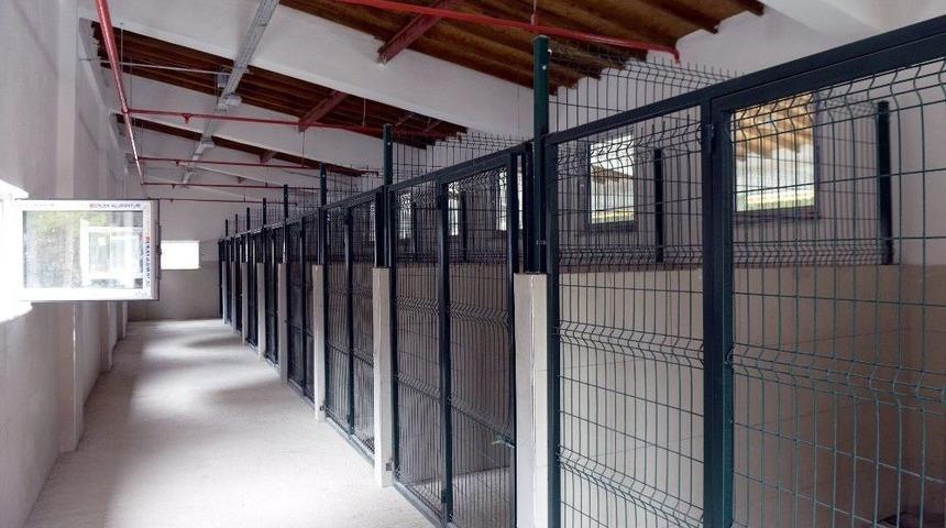 Isparta&rsquo;ya Modern Hayvan Barınağı