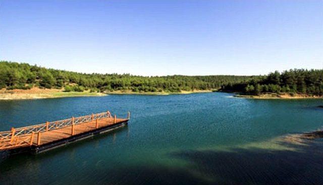 Samsun’dan Doğaya Bırakılan Turnadan Sivas’ta Sinyal Alındı