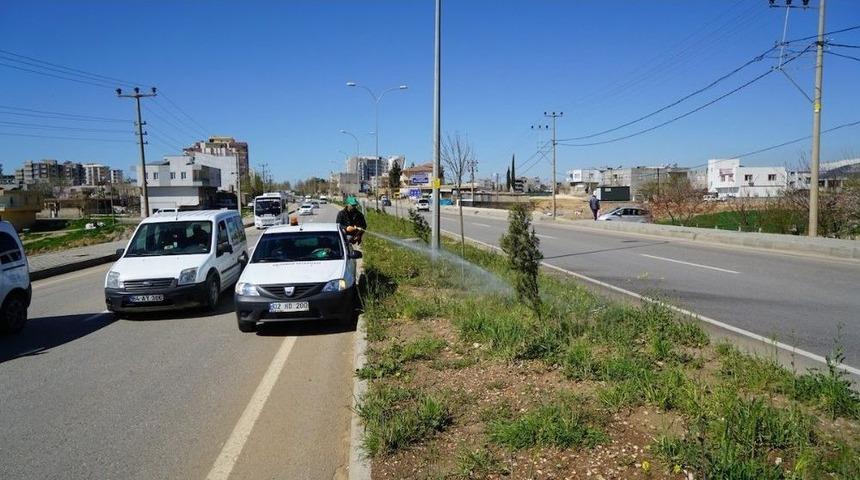 Atatürk Bulvarı Yabani Otlardan Temizleniyor