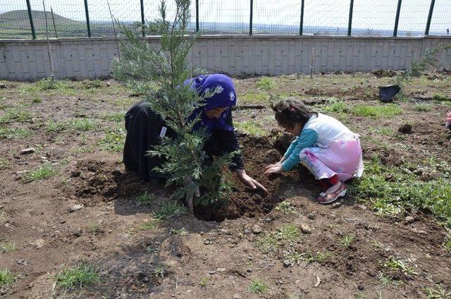 Engelli Öğrenciler Köy Okulunda Fidan Dikti