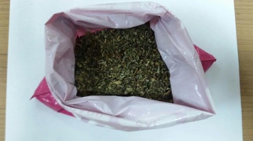 Zehir Tacirlerine Operasyon: 19 G&ouml;zaltı