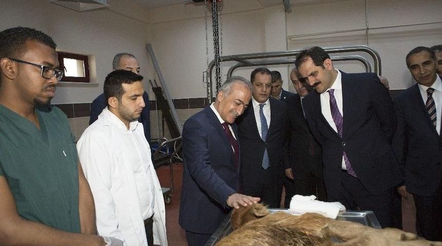 Gıda Tarım Ve Hayvancılık Bakanlığı M&uuml;steşarı Dr. Nusret Yazıcı Hayvan Hastanesi Ve Ziraat Fak&uuml;ltesini Ziyaret Etti