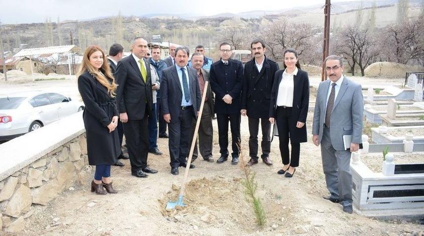 Darende Mezarlığı Yeşillendiriliyor