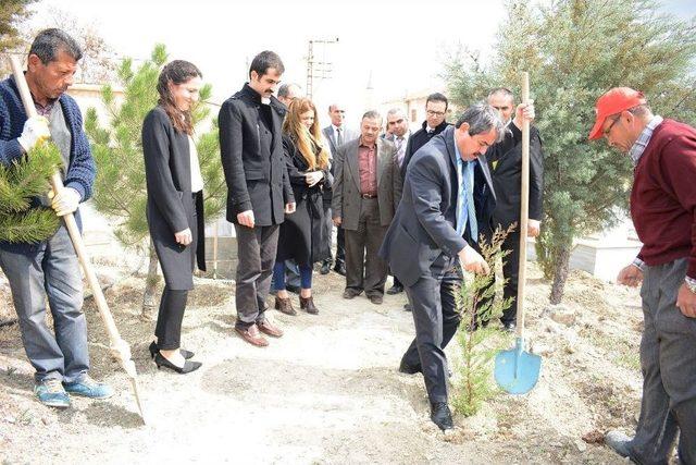 Darende Mezarlığı Yeşillendiriliyor 1