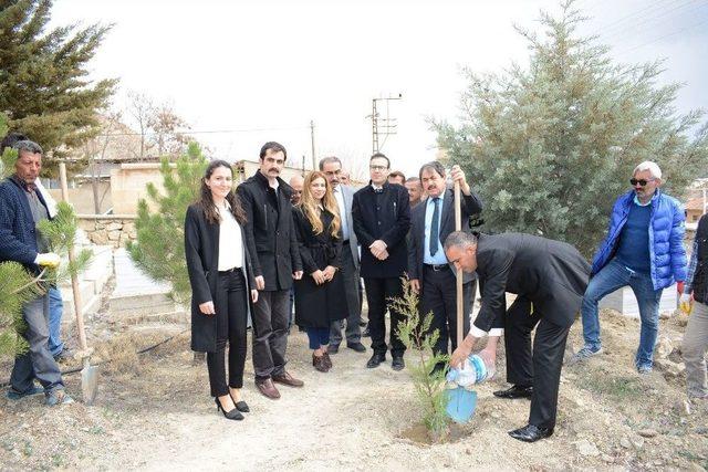 Darende Mezarlığı Yeşillendiriliyor 2