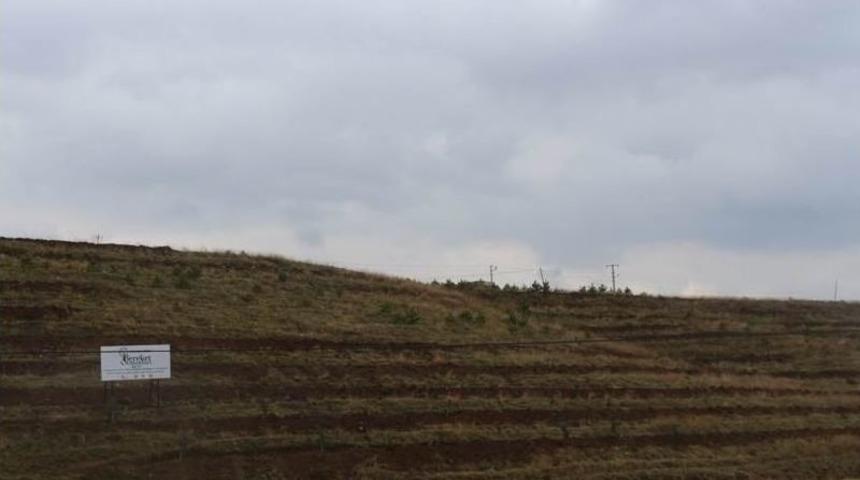 Kaymakam G&ouml;zen Bereket Ormanını İnceledi