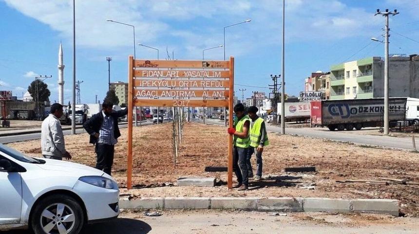 Kızıltepe&rsquo;de &Ccedil;evre D&uuml;zenlemeleri Devam Ediyor