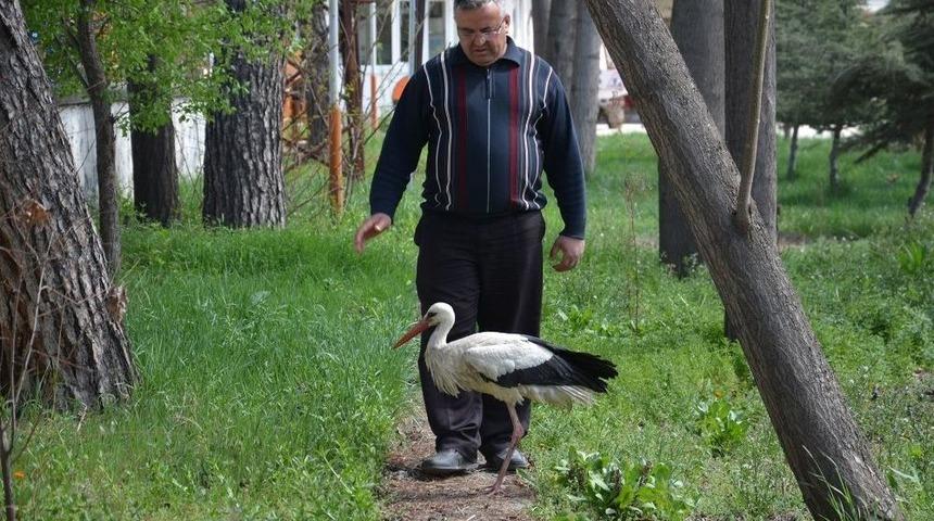 Yaralı Leyleğe Karayolları İş&ccedil;ileri Sahip &Ccedil;ıktı