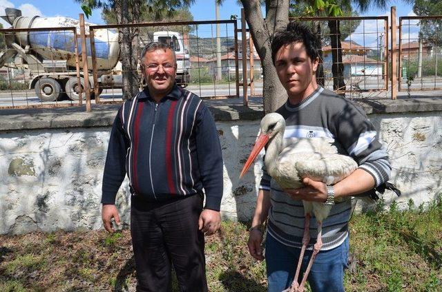 Yaralı Leyleğe Karayolları İşçileri Sahip Çıktı